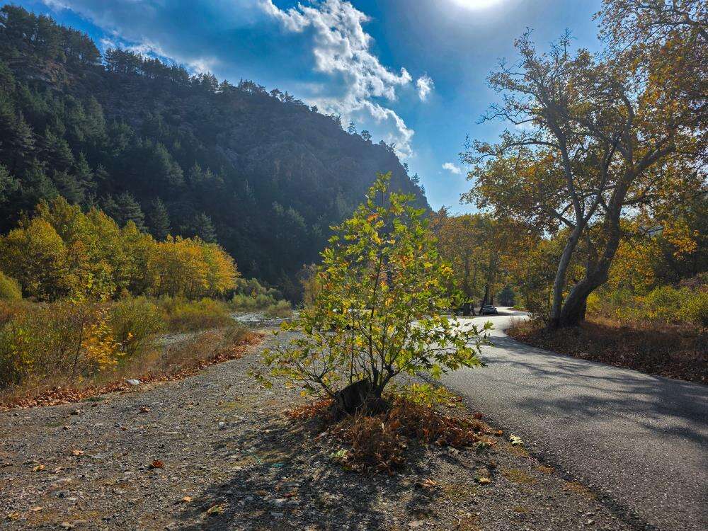 Belemedik kartpostala döndü! Konyalılar da akın ediyor 2